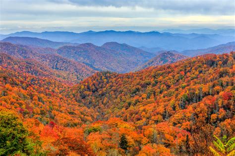 30 best things to do in the Great Smoky Mountains