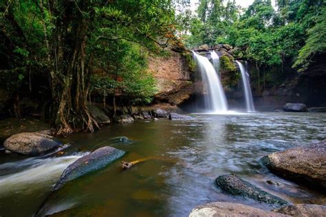 Khao Yai National Park, Thailand - South East Asia Backpacker