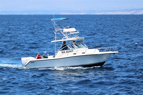 Private Whale Watching Boat Tour in San Diego - Gallery