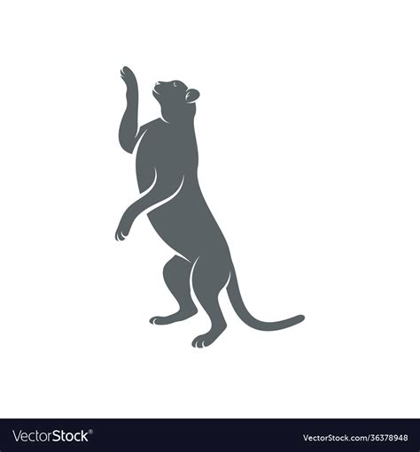 Cheetah design creative logo design Royalty Free Vector