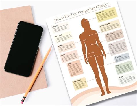 Postpartum Body Changes Handout PDF Printable Doula - Etsy