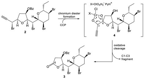 Scheme 2. Proposed mechanism for the formation of lactone 3. | Download ...