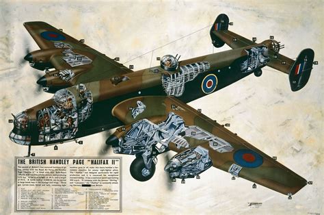 Cutaway view of the British Handley-Page "Halifax II" [1,600px × 1,060 ...