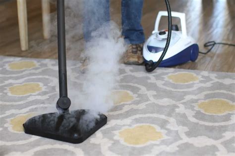 How To Steam Clean Carpet With A Mop Homeviable