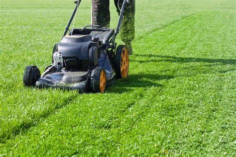 How Much do Grass Cutting Services Cost in 2024? | Checkatrade