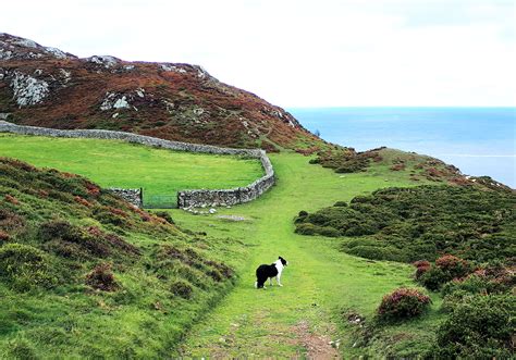 Conwy Mountain | Where2Walk