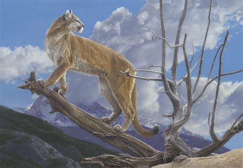 Out on a Limb | Daniel Smith Wildlife | Big cats art, Wildlife art ...