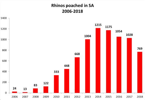 Updated rhino poaching stats – what is not being disclosed – comment ...