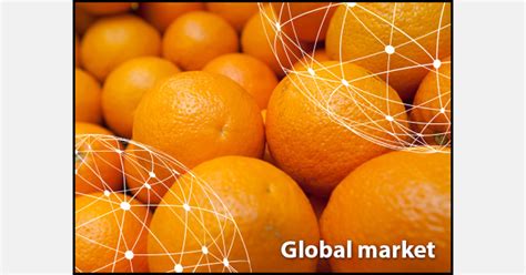 OVERVIEW GLOBAL ORANGE MARKET