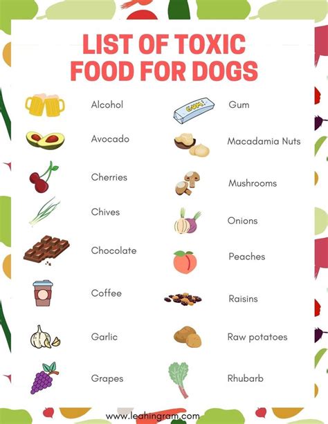 Dangerous Human Food for Dogs - Leah Ingram