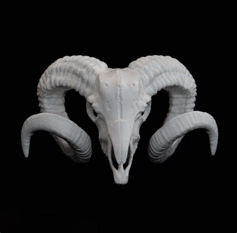 an animal skull with large horns on a black background