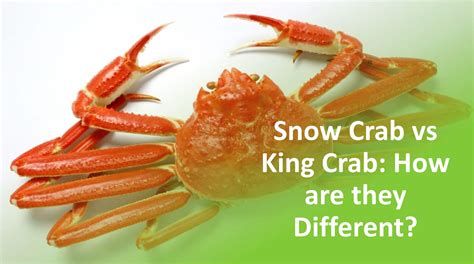 Snow Crab vs King Crab: How Are They Different?