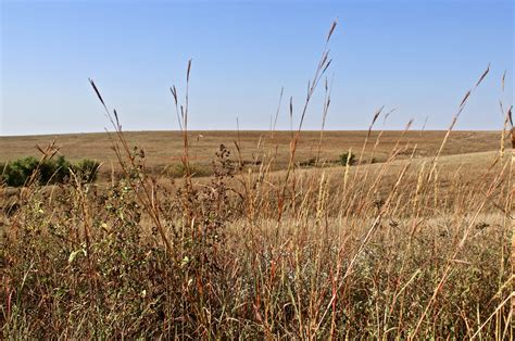 In Johnson County and Emporia, a sheriff and college president unravel ...