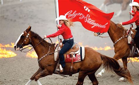 Calgary Stampede - Snaffle Travel