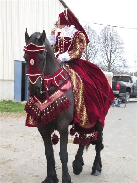 Latest Friesian period costume. | Horse costumes, Horse halloween ...