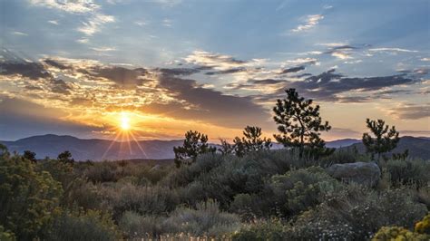 USA, Nevada, plants, trees, mountains, grass, Sun, sky, landscape ...