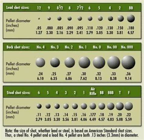 410 Shot Size Chart Steel Vs. Lead: Differences You Should K