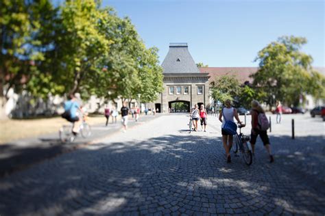 Campus-Mainz: Sinnvoll oder sinnlos? Das denken Studis über Uni-Rankings