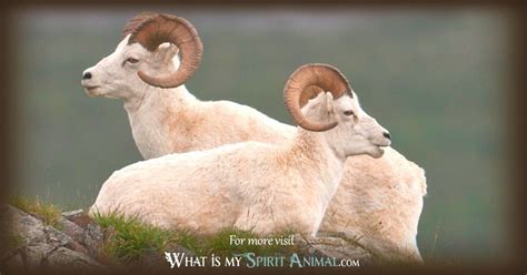 Ram Symbolism & Meaning | Spirit, Totem & Power Animal