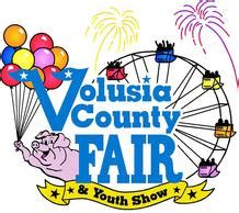 Volusia County Fair in DeLand - November 2017 - Volusia County Moms