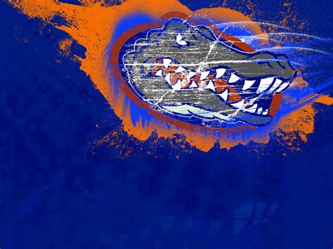 florida, Gators, College, Football Wallpapers HD / Desktop and Mobile ...