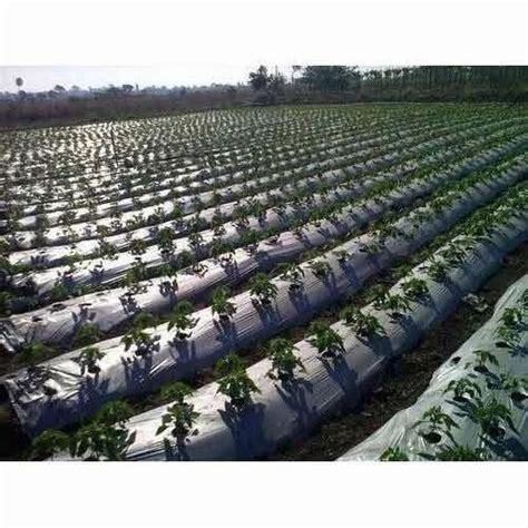 Agriculture Mulching Paper, GSM: 80 - 120 at Rs 1900/no in Nashik | ID ...