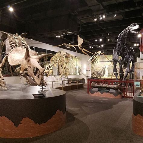 Dinosaur Hall | Arizona Museum of Natural History