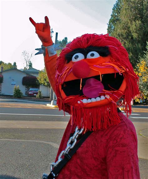 Animal Costume From the Muppets | Animal costume, Animal muppet ...