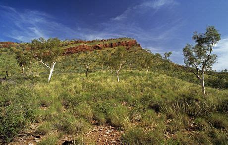 19 Kununurra Stock Pictures, Editorial Images and Stock Photos ...