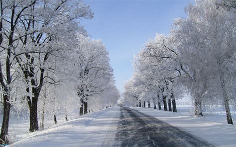 Snow Backgrounds HD Free Download