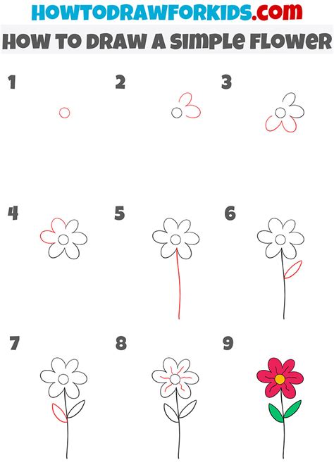 How To Draw A Flower Step By Step For Beginners