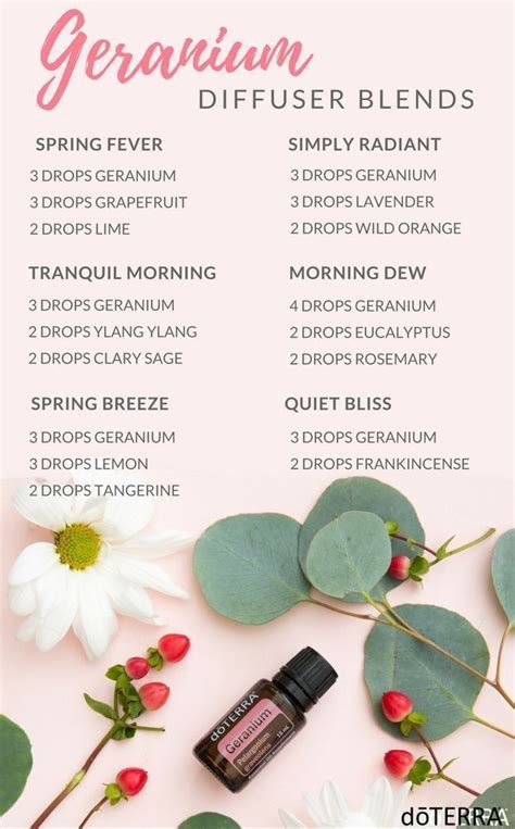 Geranium Diffuser Blends Recipes