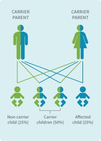 Types of DNA Testing | AncestryDNA® Learning Hub