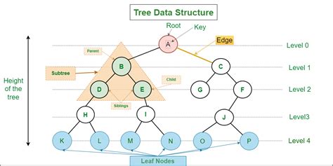 Traversing a Tree (Data Structures) | by Bogdan Tudorache | Medium