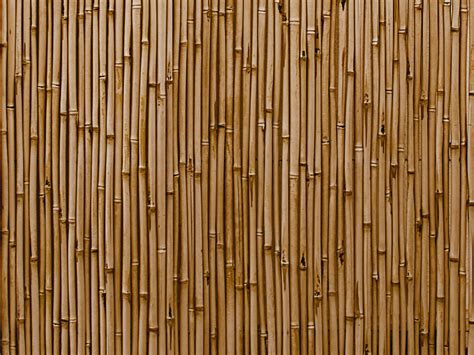 Bamboo Wall Texture High Res (Wood) | Textures for Photoshop