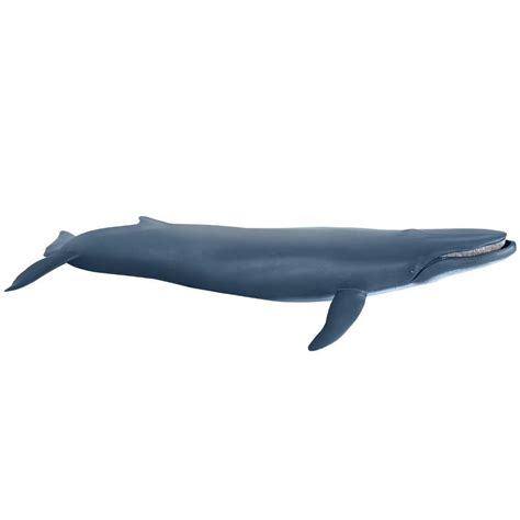 Papo Toys Blue Whale - Wonderland Models | P56037 | £20.25