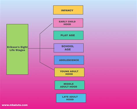 Erikson’s Eight Life Stages | MBA TUTS