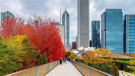 Best Things to Do in the Fall in Chicago 2020