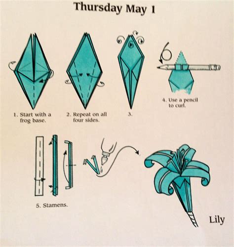 Origami lily diagram | Origami lily, Origami patterns, Easy origami flower