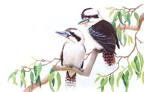 Kookaburras – Wildlife Art Work