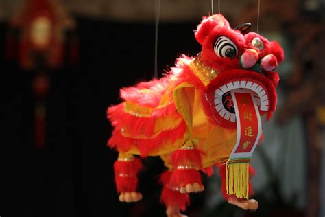 Lion Dance A Significant Tradition of Chinese Culture - Kulture Kween