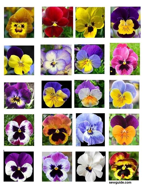 Pansies : 4 Simple Ways To Recreate This Flower On Fabric - SewGuide