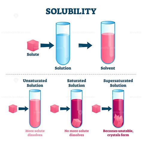 Solubility vector illustration - VectorMine