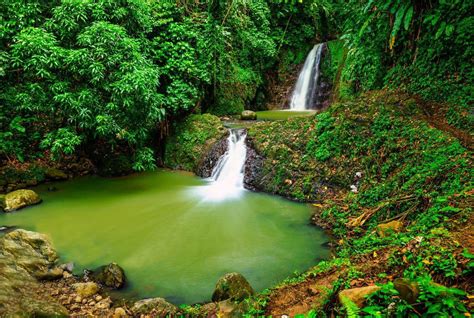 Top Waterfalls in Grenada – Grenada Trip Ideas | Viator.com