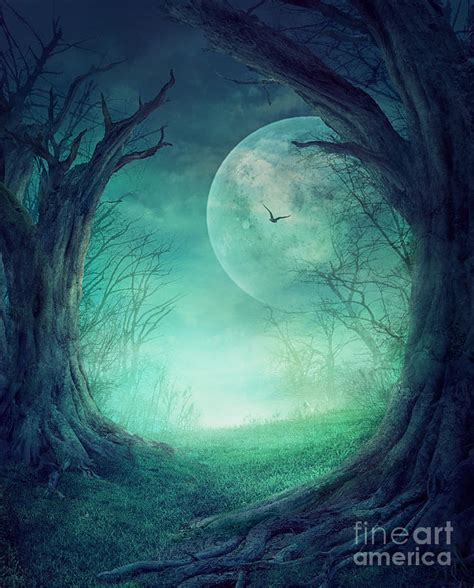 Halloween Spooky Forest Digital Art by Mythja Photography - Pixels