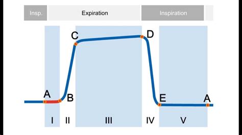 e-learning: Basics of Capnography - YouTube