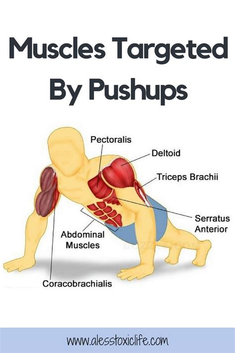 18++ Push ups muscle advanced | perfectabsworkout