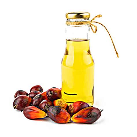 Crude Palm Oil, Form : Liquid at Best Price in Haridwar | International ...