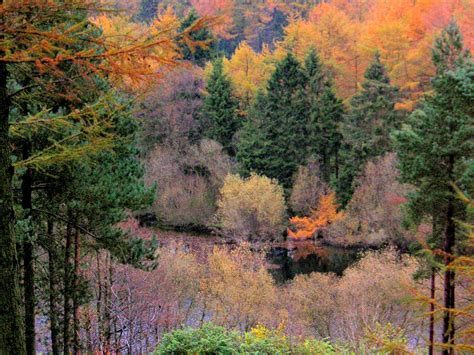 Macclesfield Forest, Peak District National Park, England in the Autumn ...