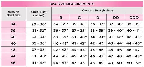 How To Calculate Your Bra Size – Exquisite Form